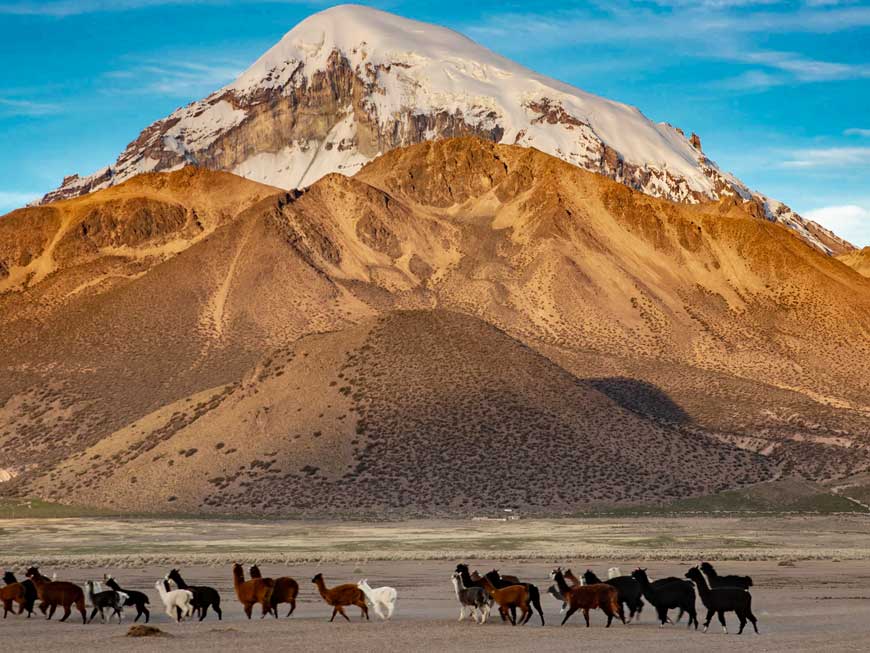 Nationalpark Sajama